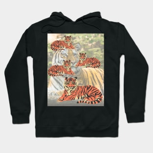 Tiger print Hoodie